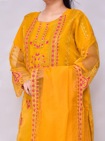 3 Pcs Beautiful Organza Multi Embroidery Suit for women and young girls