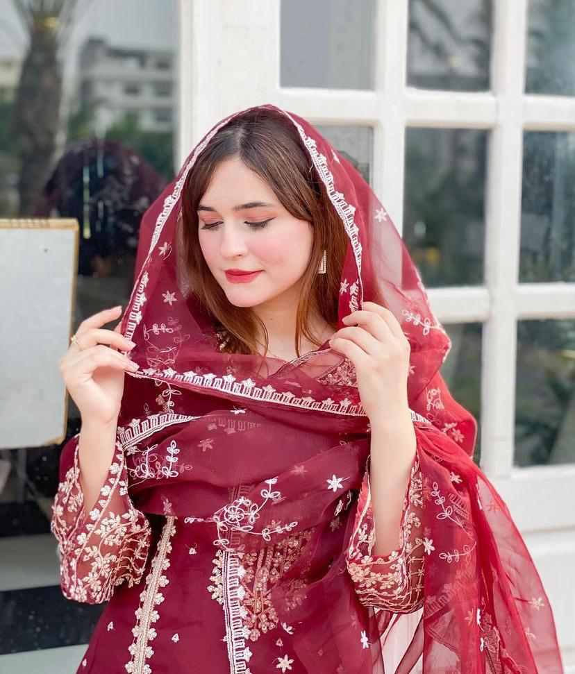 T H A Z A I B💐  Fancy Organza 3pcs dress