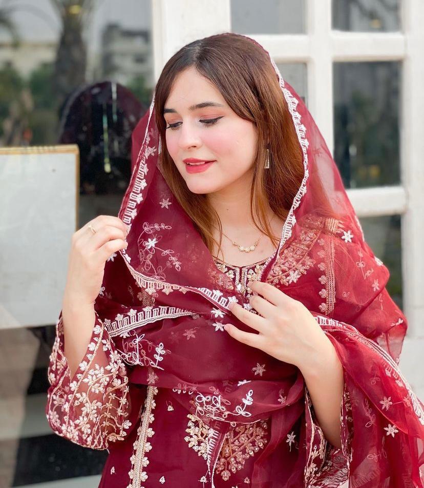 T H A Z A I B💐  Fancy Organza 3pcs dress