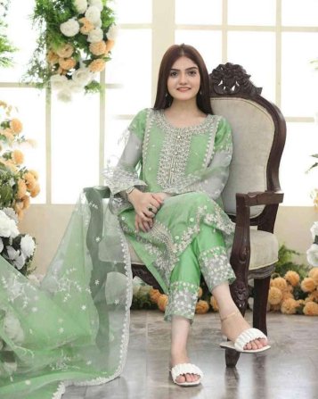 T H A Z A I B💐  Fancy Organza 3pcs dress