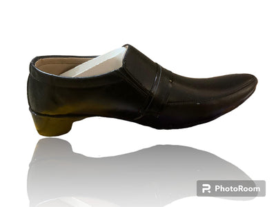 Stylish sneakers (shoes)